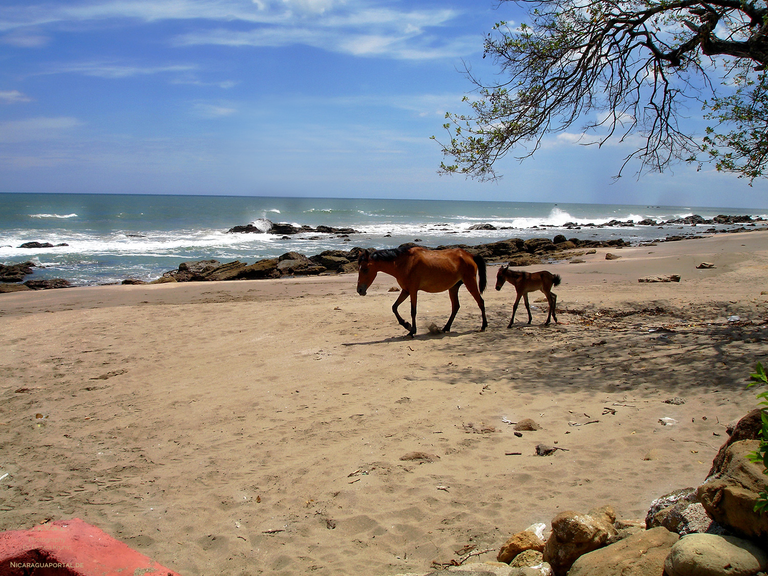 Nicaragua: LEON: Poneloya – Strandparadies am Pazifik